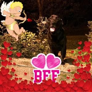 Meet your Posher, Colleen